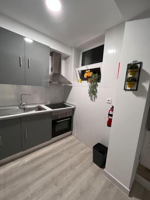 Opo - Fantastic With Garden Oporto